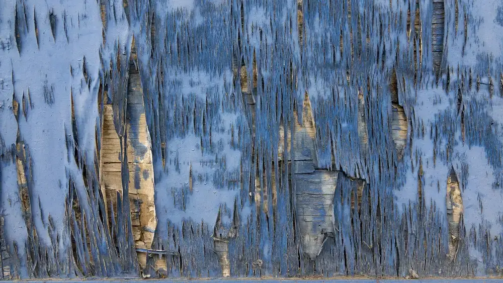 How to Seal Exterior Wood: UV vs. Moisture Damage Guide