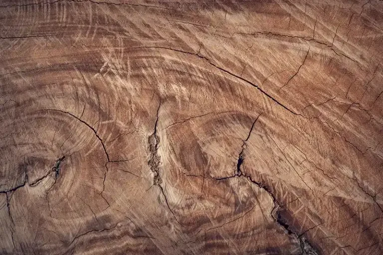How to Smooth Splintered Wood the Right Way (Remove Splinters First)