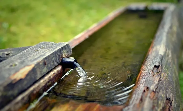 How to Water Pop Wood Before Staining: Step-by-Step Guide