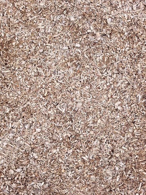 Close-up of wood chips for smoking