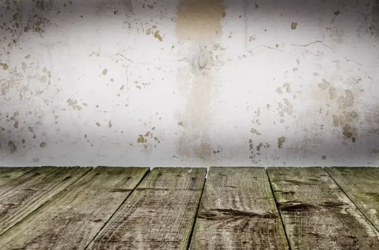Varnish vs Stain: The Real Difference (and Why Most Projects Need Both)