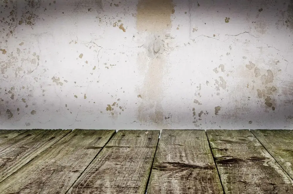 Varnish vs Stain: The Real Difference (and Why Most Projects Need Both)