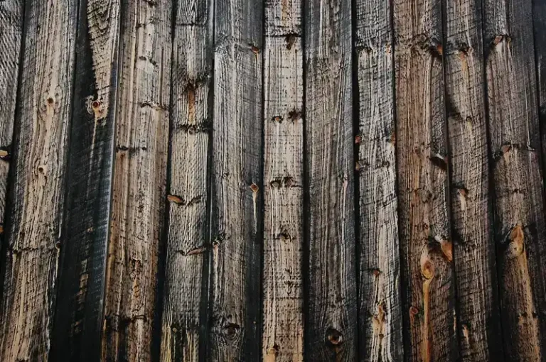 What Is the Darkest Wood Stain? True Black vs. Ebonizing Explained