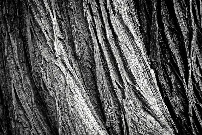Why wood glue will not stick to old finish