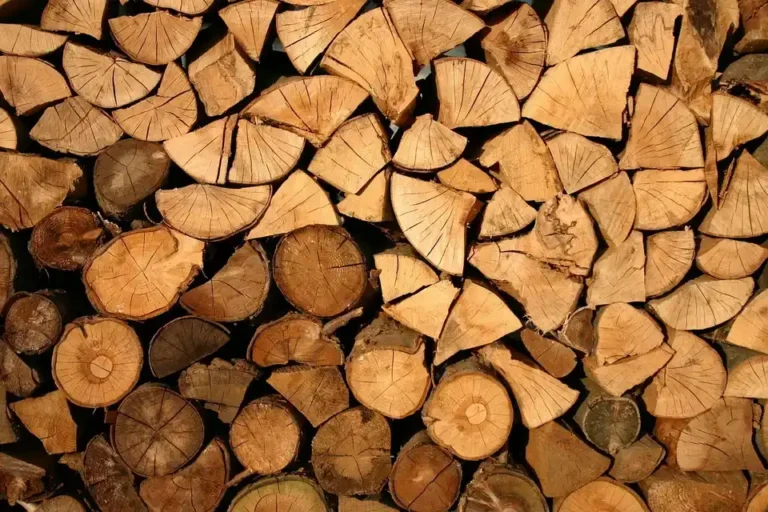 Wood Load Capacity Calculator: Plywood, Screw Length & Lumber Cost Tools