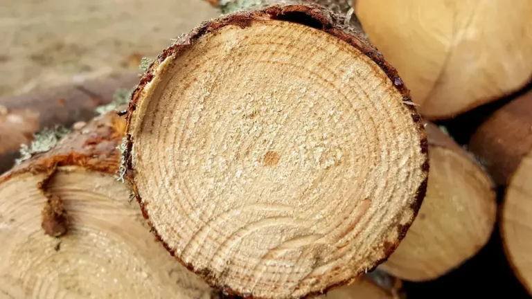 Wood-Mizer Portable Sawmill Prices: 2026 Model & Features Guide
