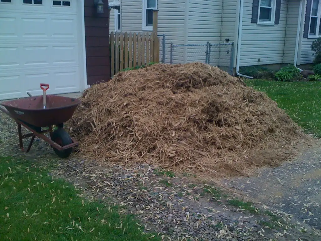 Hands comparing cedar mulch chips next to a raised vegetable bed