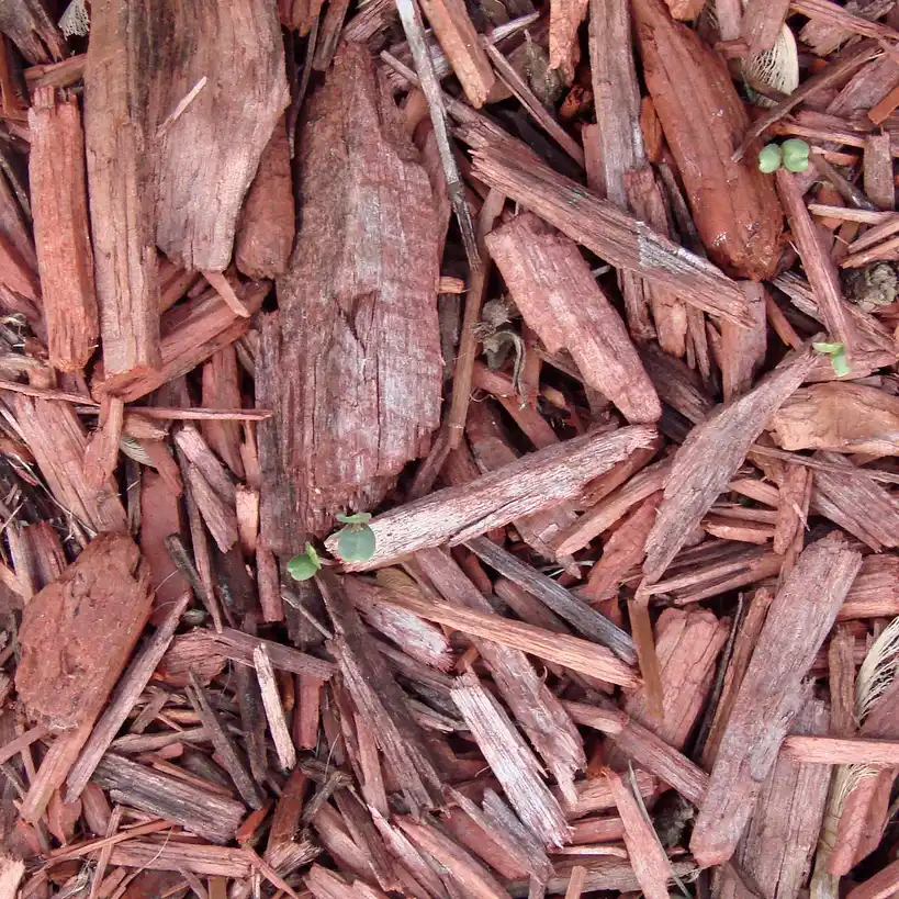Best shredded cedar mulch: best for ornamental beds