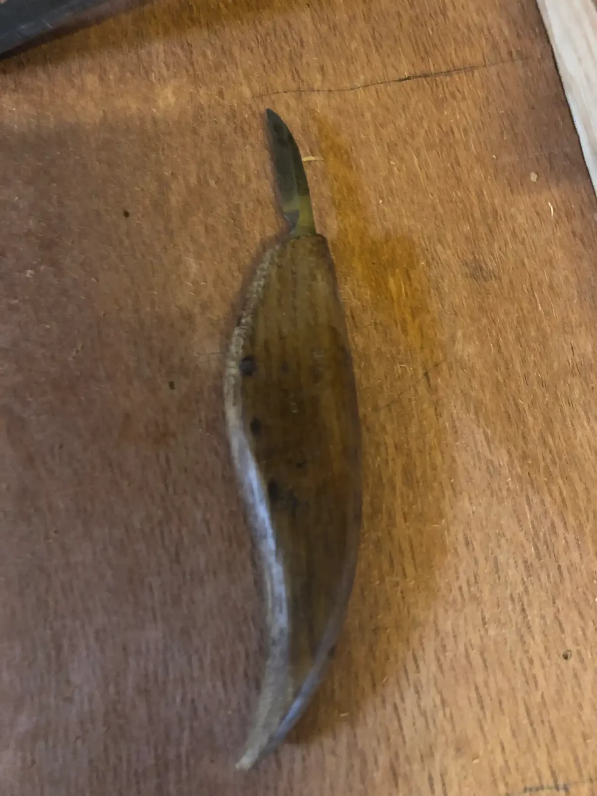 Beginner chip carving knives beside a basswood practice block and sharpening stone on a workbench