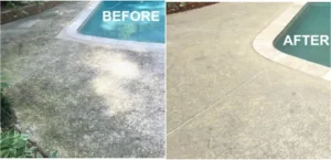 Best Deck Cleaners for Mold and Mildew (2026): we compared