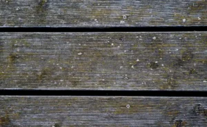 Best Exterior Wood Screws for Decking: we compared