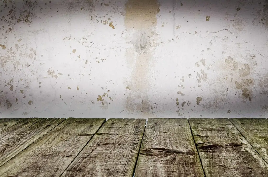 What is the best exterior wood stain?