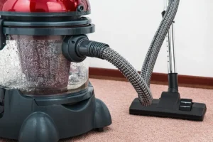 Best Hardwood Floor Cleaner for Pet Urine Stains