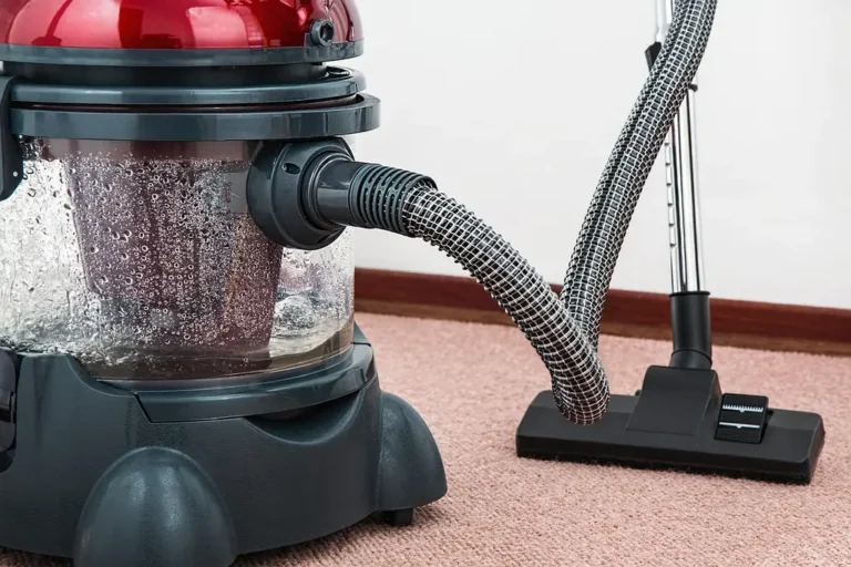 Homeowner cleaning a faint pet urine stain on a hardwood floor in natural light