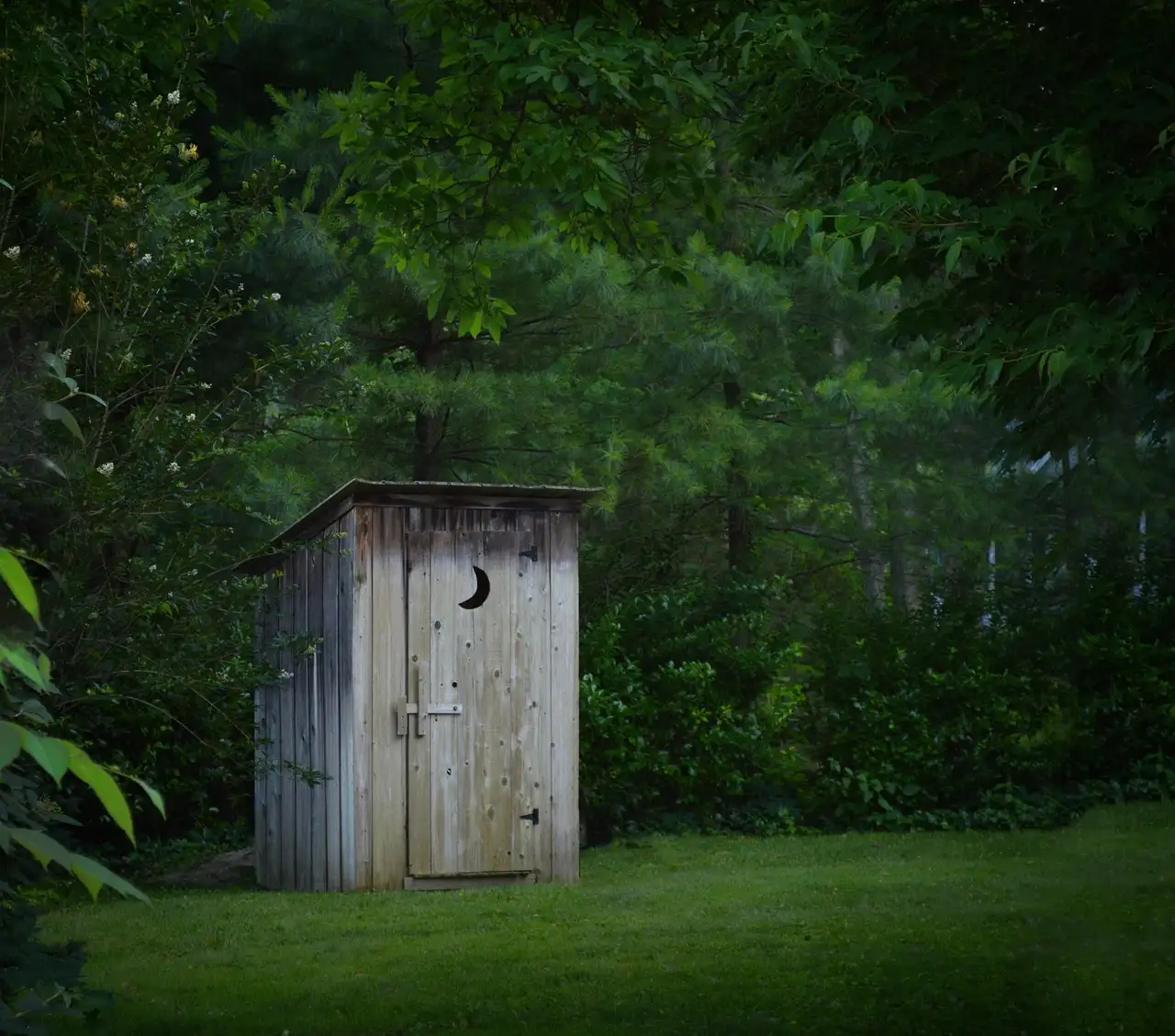 Plywood sheets leaning beside an outdoor storage shed wall frame in a backyard after rain