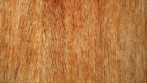 Best Plywood for Outdoor Use (2026): we compared