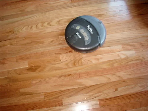 Cordless vacuum cleaning hardwood and laminate floors in a bright modern living room