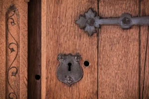 3 Best Borer Treatments for Furniture (2026): research shows