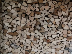 What Is the Best Wood to Burn in a Wood Stove? Guide