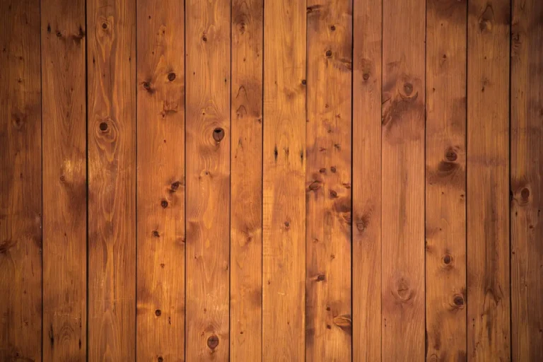 Homeowner compares polish bottles beside dull hardwood floor in natural light