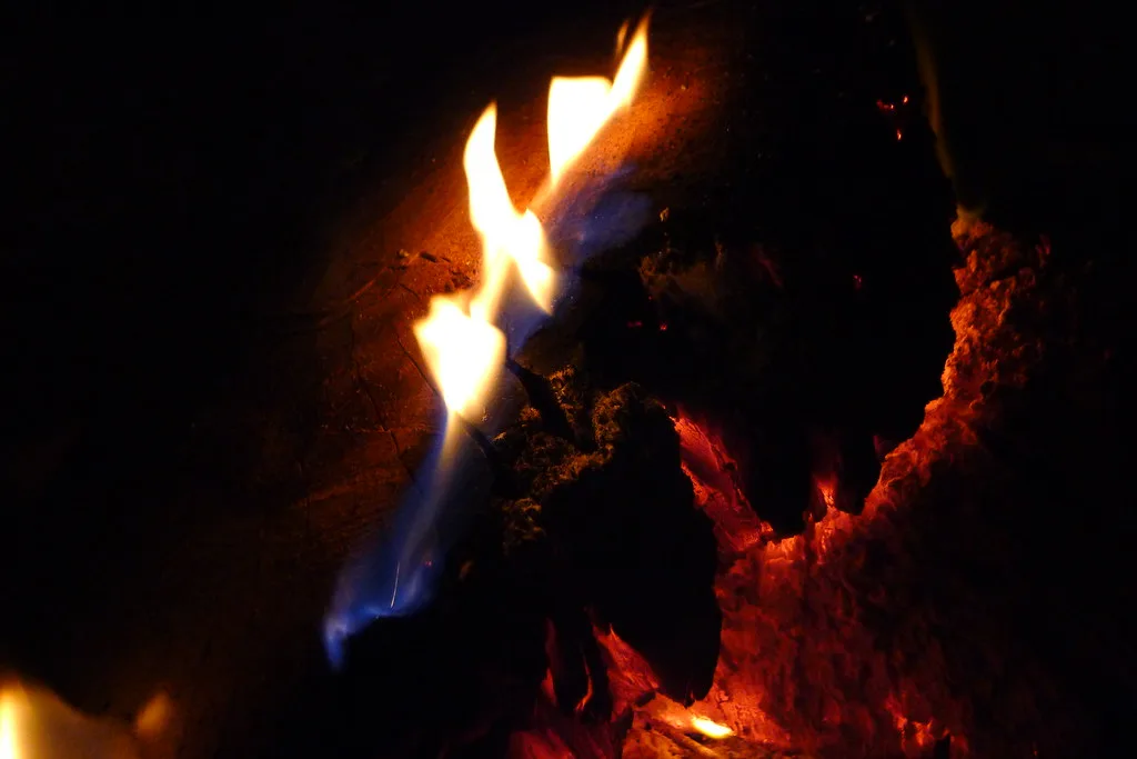 Seasoned oak and hickory logs being placed into a fire pit grate