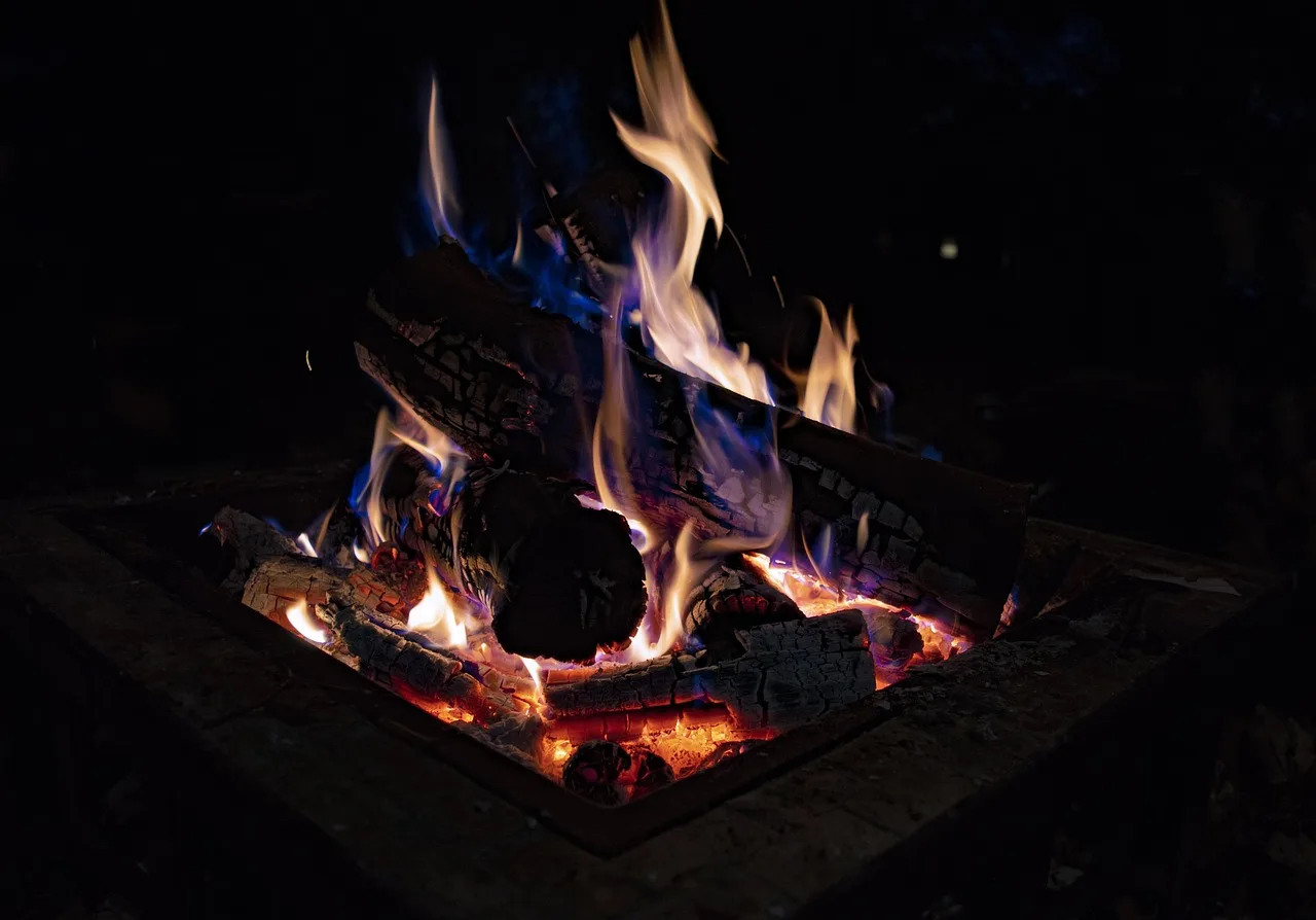 What is the best wood for a smokeless fire pit?