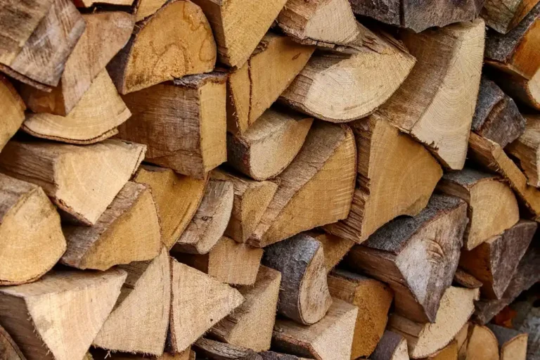 Kindling sticks and fatwood arranged beside a fireplace on a hearth in natural light