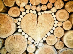Best Woods for a Pellet Smoker in 2026: we compared