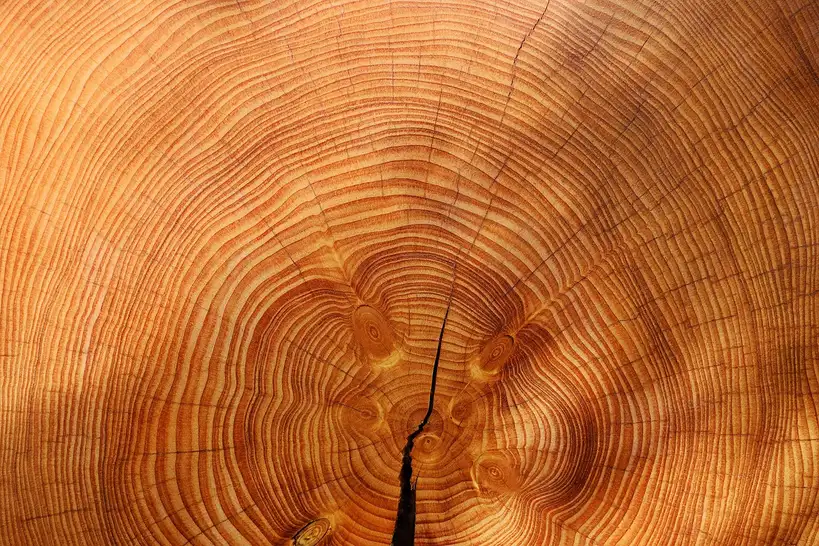 Wood selection matrix