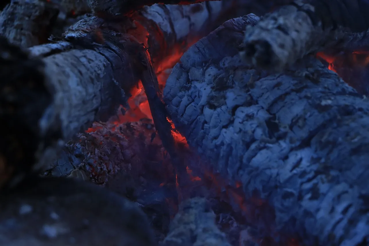 Can you burn a Christmas tree in a fireplace?