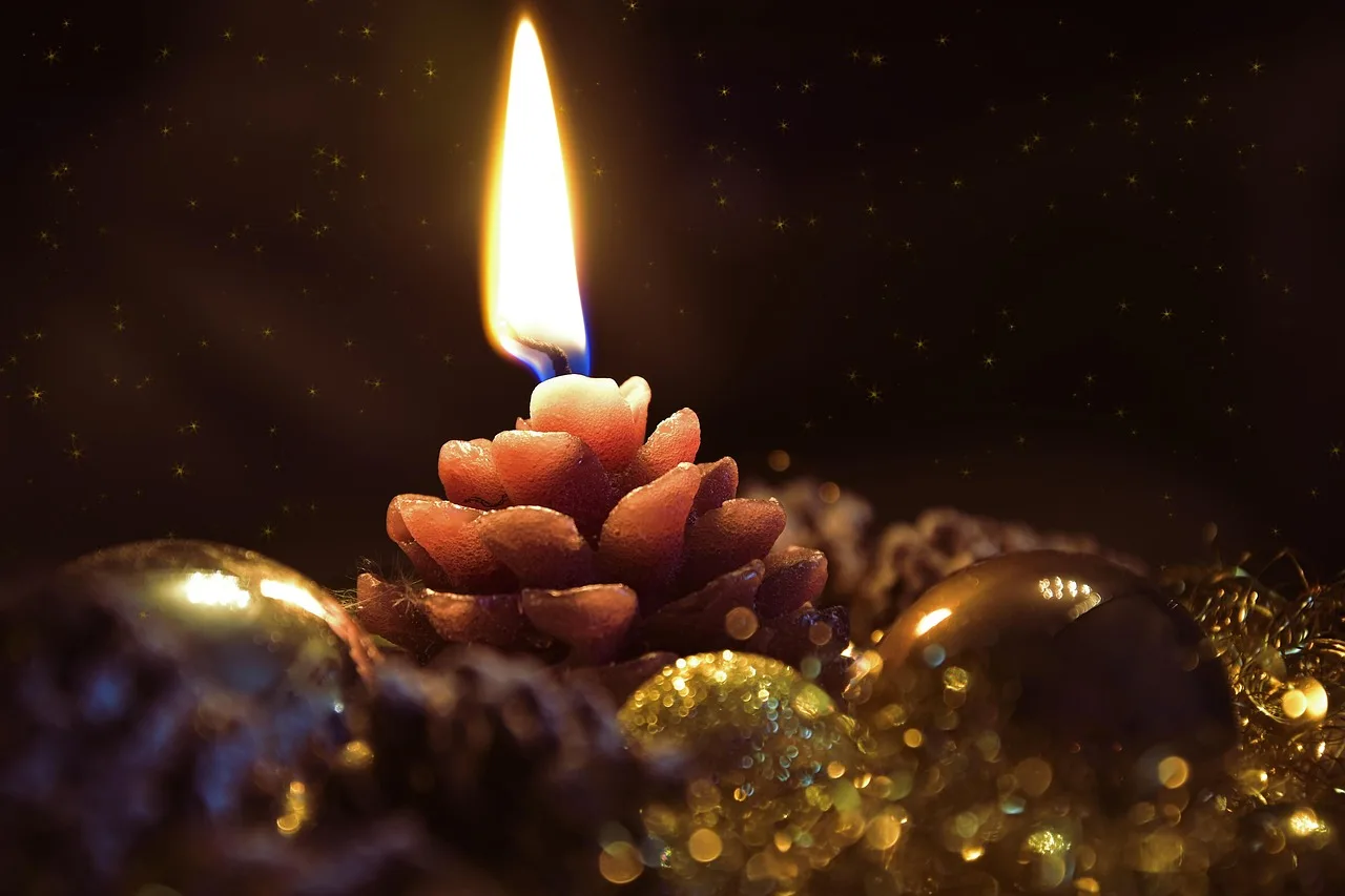 Why Christmas trees burn so fast