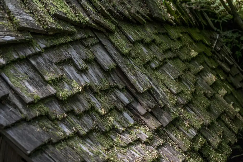 How much does cedar wood cost?