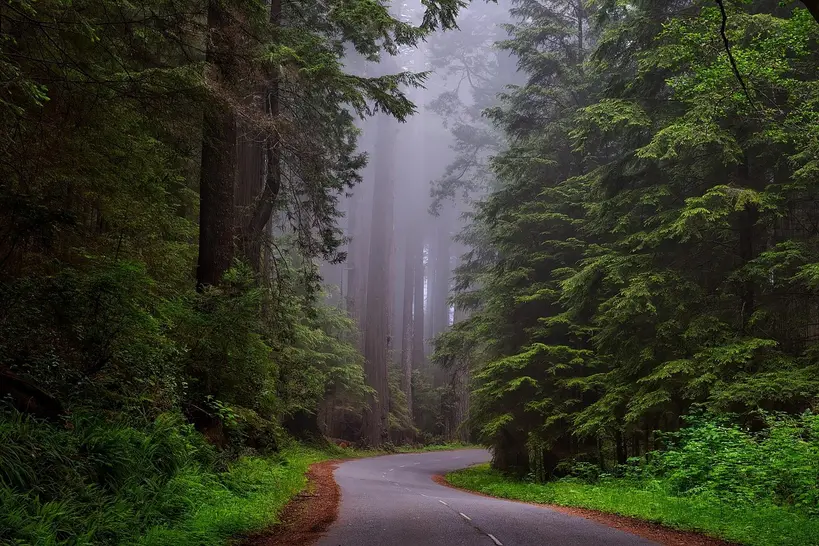 What is the difference between clear redwood and construction heart redwood?