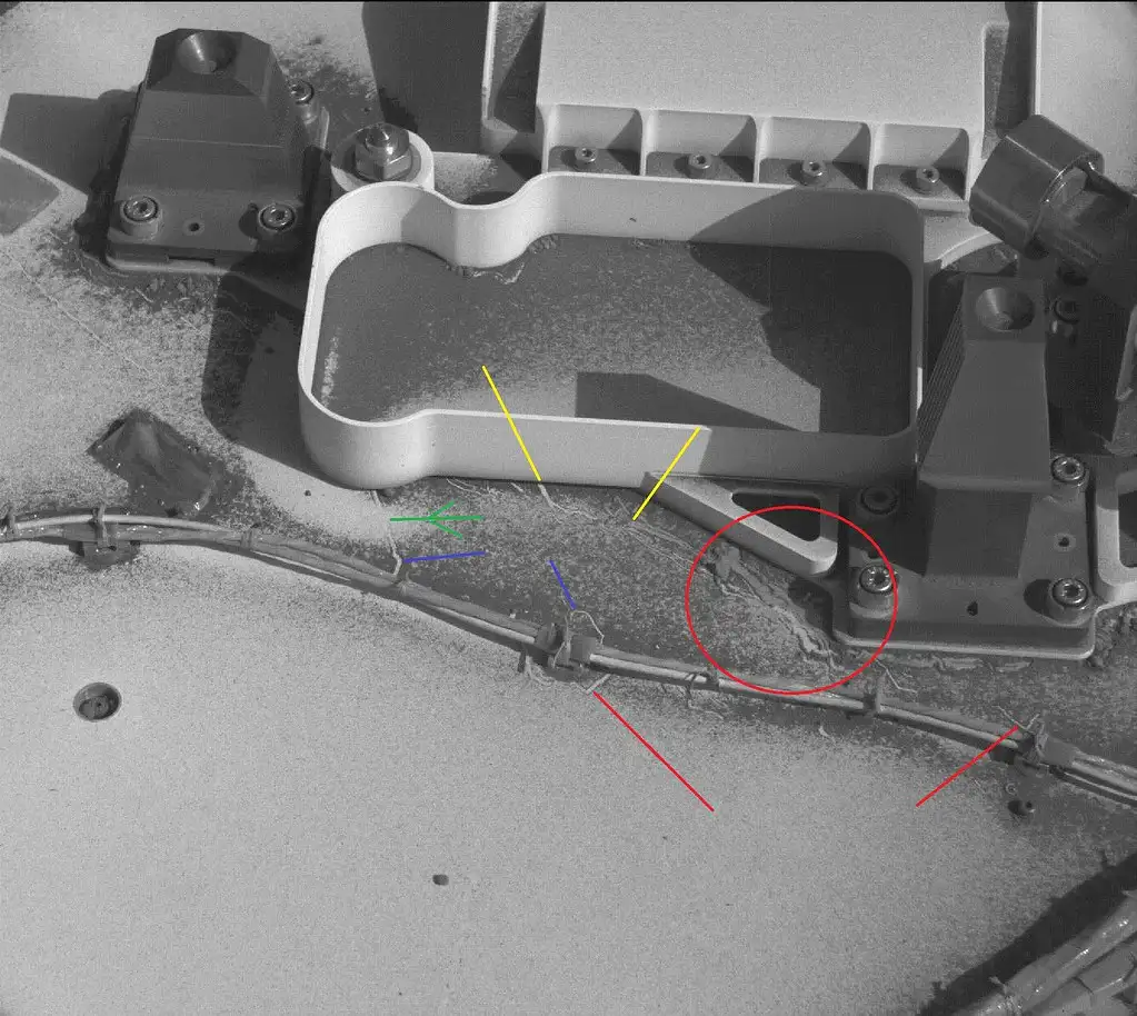 Composite decking and pressure-treated wood deck boards shown side by side in a backyard setting.