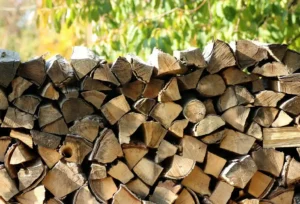Drying Firewood in a Basement