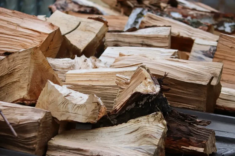 Split firewood stacked outdoors in a snowy winter yard beside a tarp-covered pile.