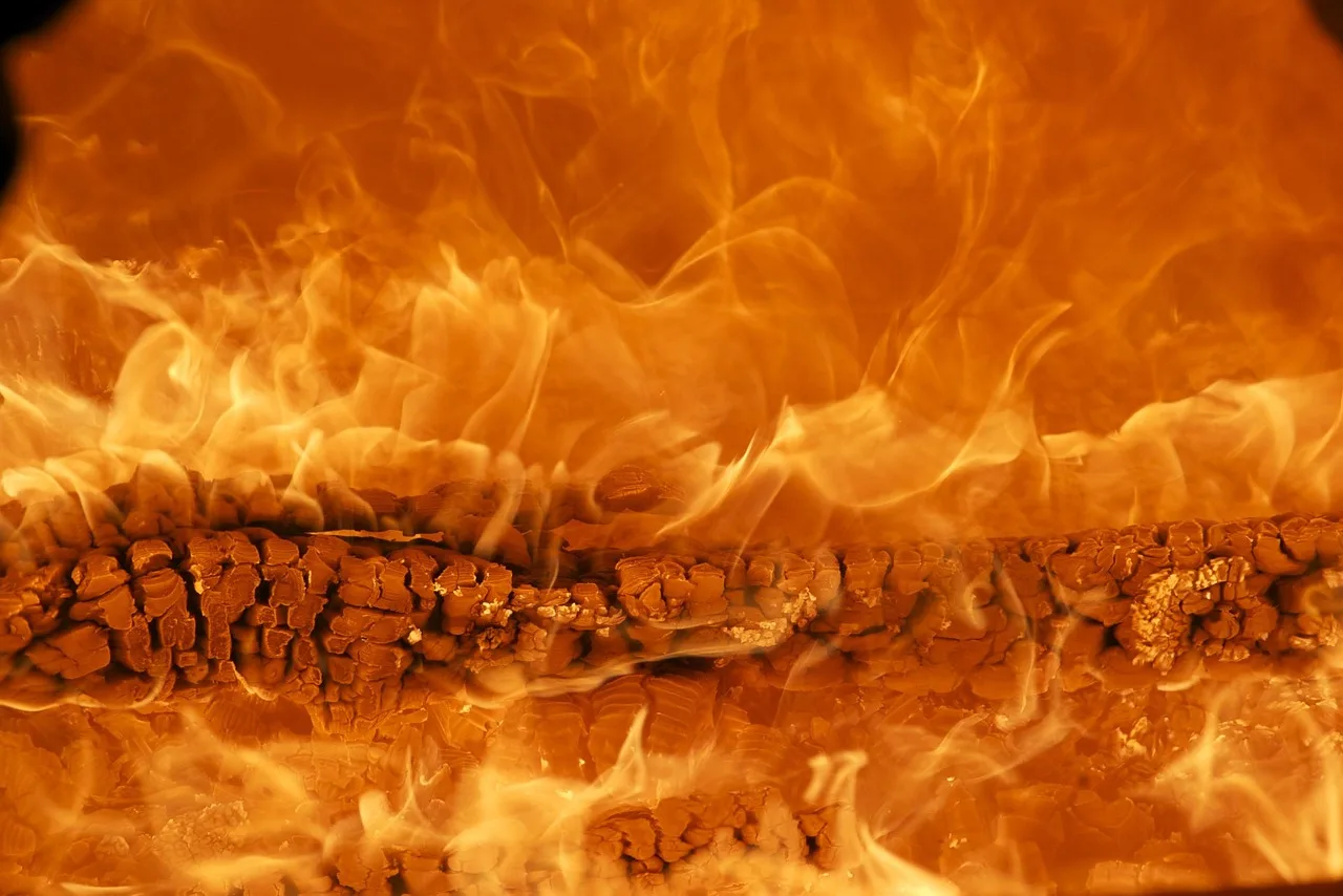 How to know when wood is burn-safe