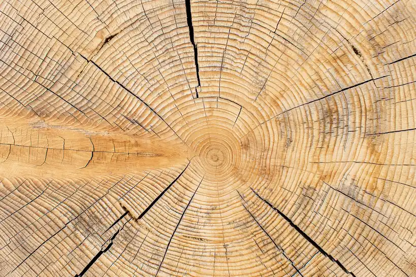 Engineered wood vs solid wood: the core trade-off