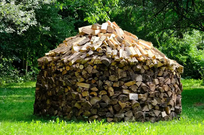 What should you do if wood is too dry?