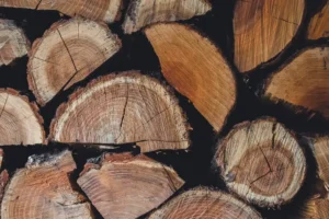 Is Hickory Good Firewood? BTU, Smoke and Splitting Tips