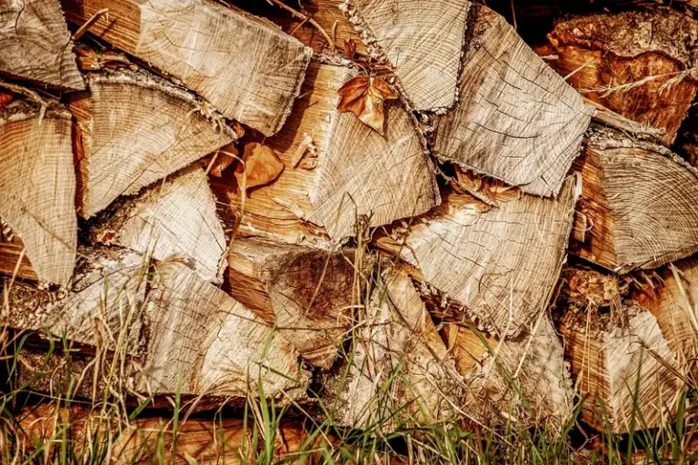 Split elm firewood stacked outdoors beside a moisture meter and hand axe in natural light