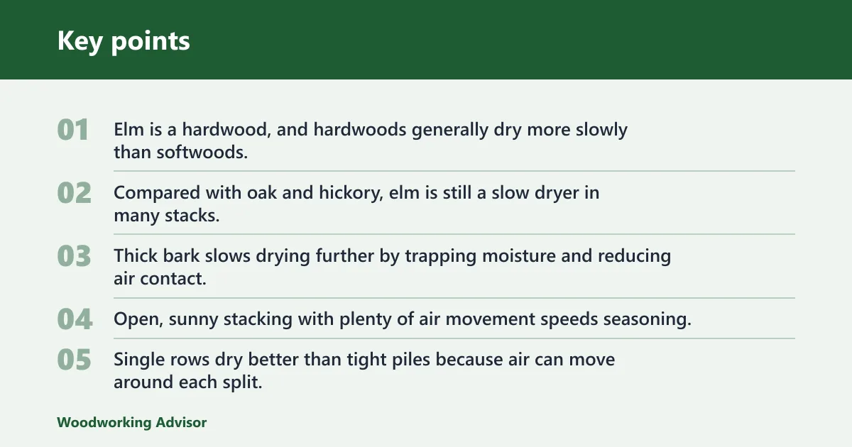 Key points: What affects elm drying speed?
