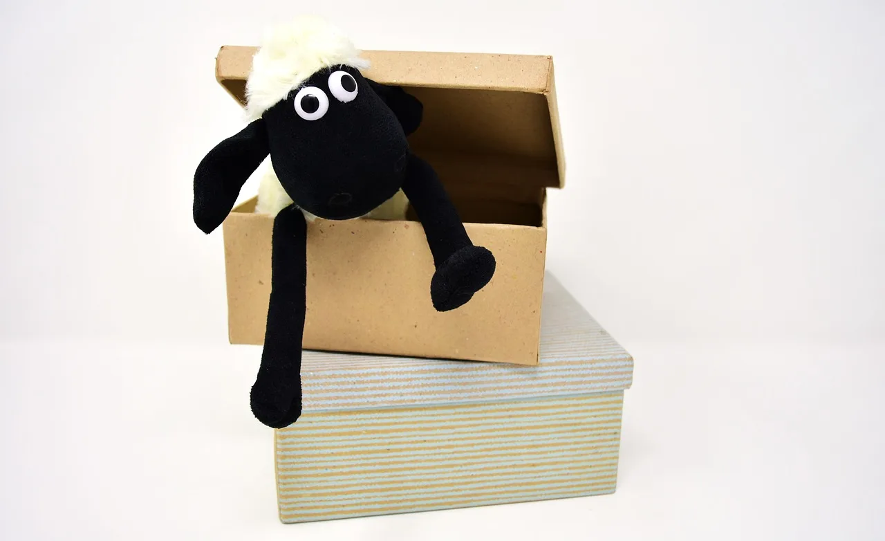 Which toy box style should you build?