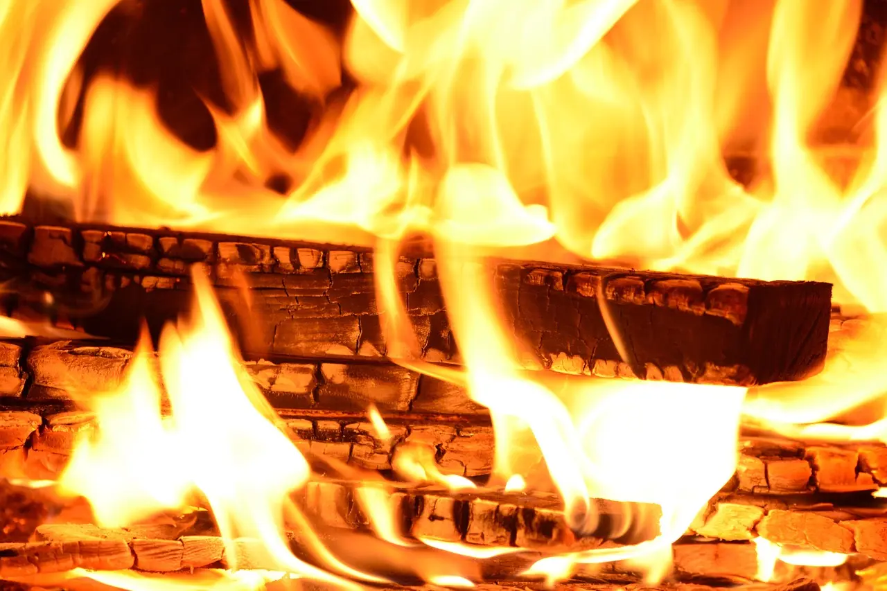 How do you inspect firewood for bugs?