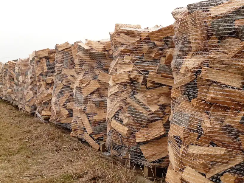 Stacked seasoned beech firewood beside a wood stove in natural light