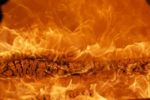 Is Mulberry Good Firewood? Heat, Smoke, Sparks