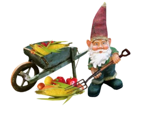 Large Wooden Gnome Pattern Free
