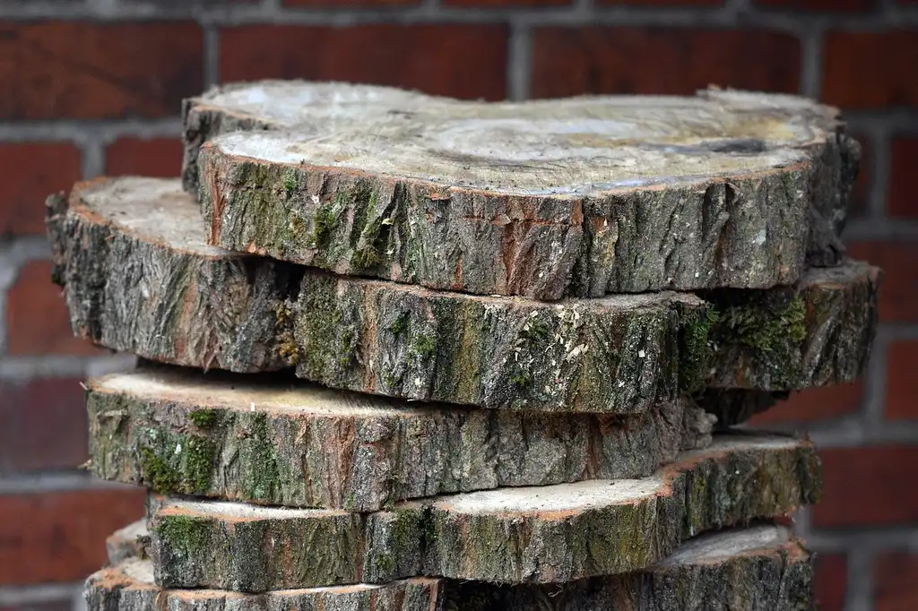 How do you prep log slices?