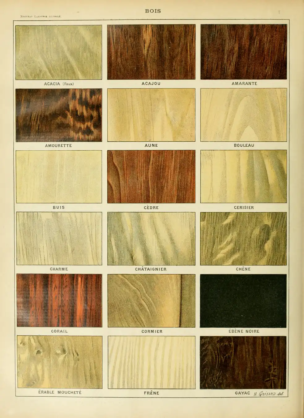 Close-up of wood grain comparison between mahogany and a lookalike sample