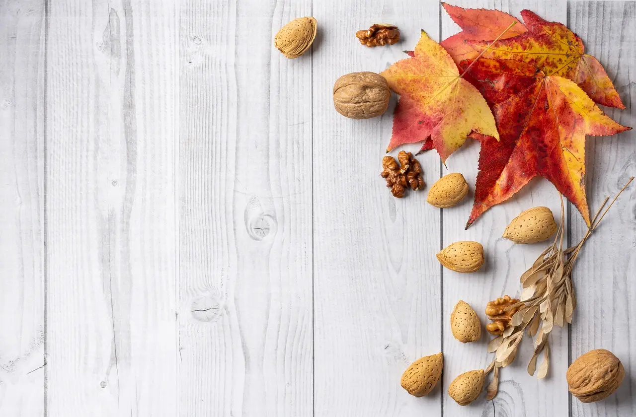 How does maple compare with birch, walnut, oak, and hickory?